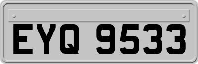 EYQ9533