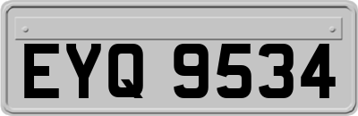 EYQ9534