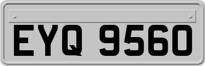 EYQ9560