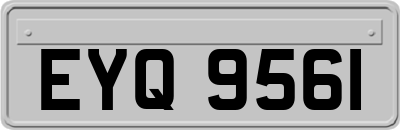 EYQ9561