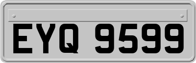 EYQ9599