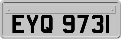 EYQ9731