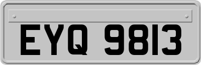 EYQ9813