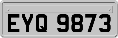 EYQ9873