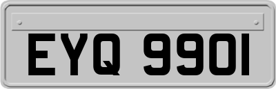 EYQ9901
