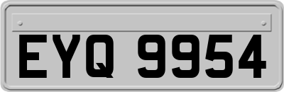 EYQ9954