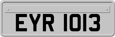EYR1013