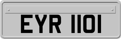 EYR1101