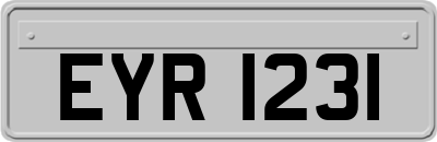 EYR1231
