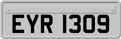 EYR1309