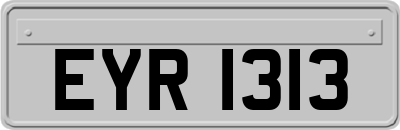 EYR1313