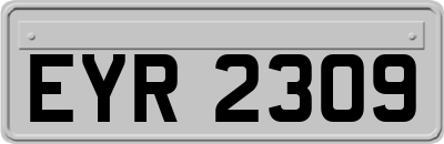 EYR2309