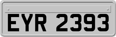EYR2393