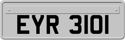 EYR3101