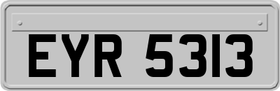 EYR5313