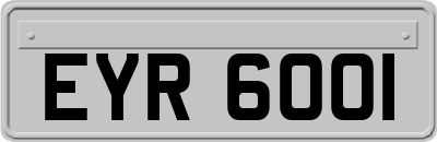 EYR6001