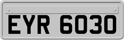 EYR6030