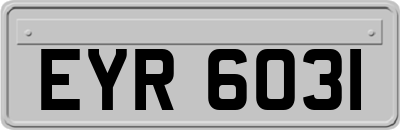 EYR6031