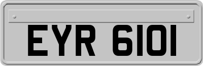 EYR6101