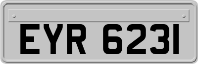 EYR6231