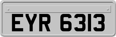 EYR6313