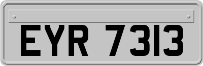 EYR7313