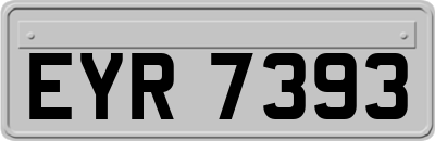 EYR7393
