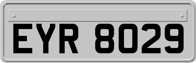 EYR8029