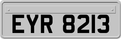 EYR8213
