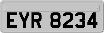 EYR8234