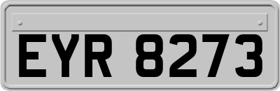 EYR8273