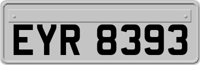 EYR8393