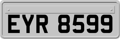 EYR8599