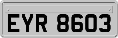 EYR8603