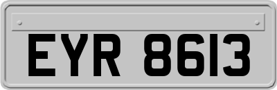 EYR8613