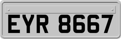 EYR8667