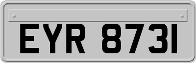 EYR8731