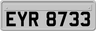 EYR8733