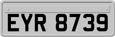 EYR8739