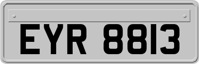 EYR8813