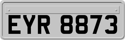 EYR8873