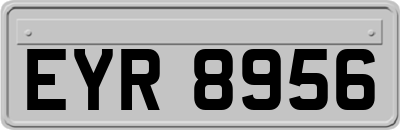 EYR8956