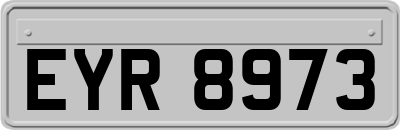 EYR8973