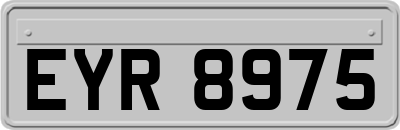 EYR8975