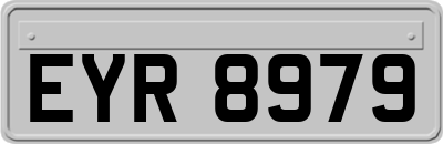 EYR8979