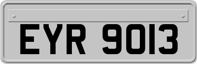 EYR9013