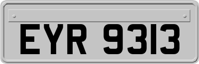 EYR9313