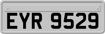 EYR9529