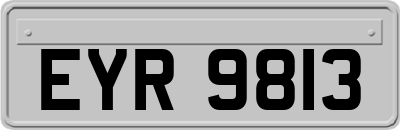 EYR9813