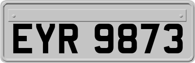 EYR9873